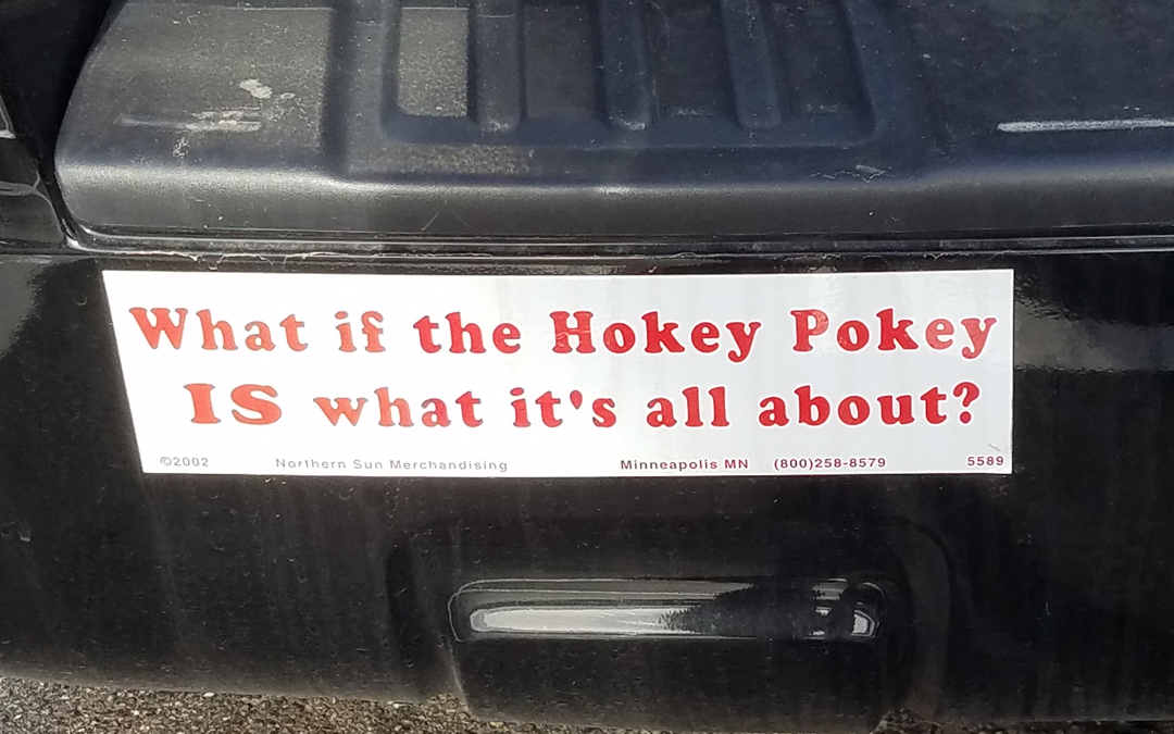 What if the Hokey Pokey IS what it’s all about?